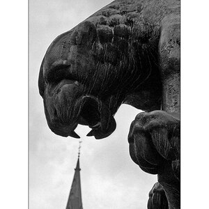 Scan Neopan 026