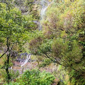 Madeira (44)