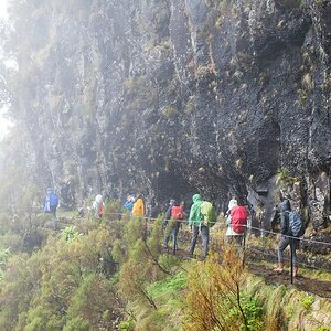 Madeira (48)