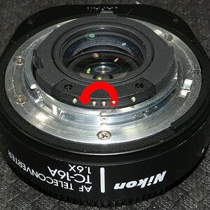DSC 8702