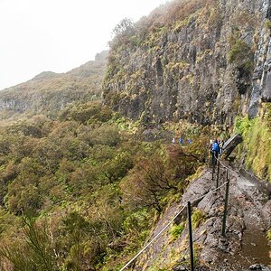 Madeira (50)
