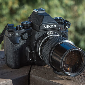 Nikon Df und das manuelle Ai 1:4/200mm
