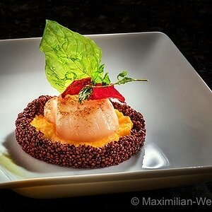 ©MaximilianWeinzierl©MaximilianWeinzierl©MaximilianWeinzierlJakobsmuschelFOODWS©MaximilianWeinzierl