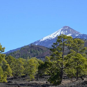 DSC9052 132

Der Teide hat noch etwas Schnee- so gefällt er mir besonders gut!