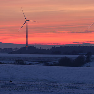 Windräder Hunsrück Januar 2015 043bk