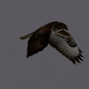 Herr der Lüfte