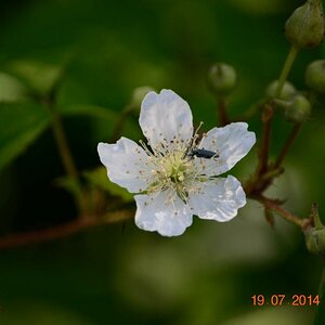 Frühling