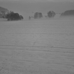 DSC 3637 web sw