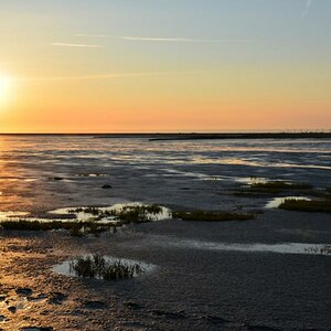 DSC 0650 145

Wattenmeer vor Schobüll beim Sonnenuntergang