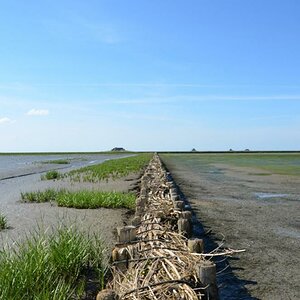 DSC 0740 146

Auf dem Weg durchs Wattenmeer nach Lüttmoorsiel