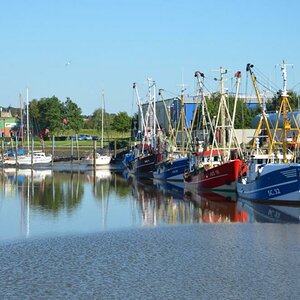 DSC 0560 144

Husumer Hafen