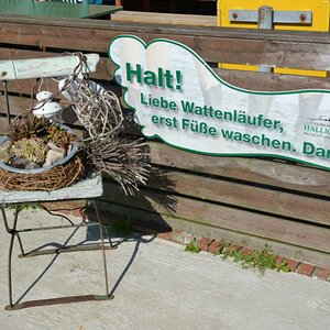 DSC 0804 147