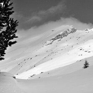 DSC 8746 sw