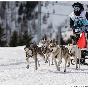 4er Schlitten rasant