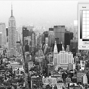 NewYork NEU