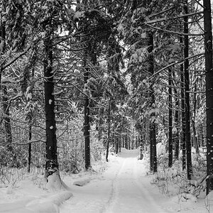 Winter 2015