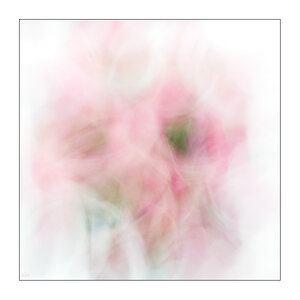 26/365