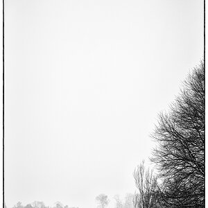SchneePZ1 4823