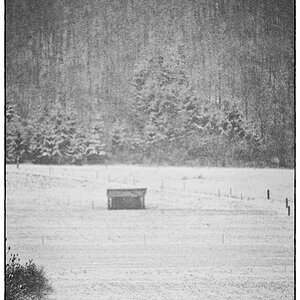 SchneePZ1 4817
