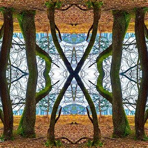 comp Zwischenschicht