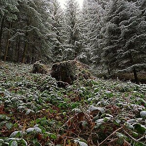 DSC 2888 Bearbeitet