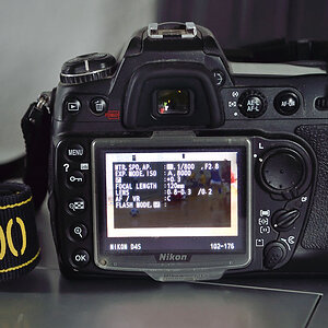 D300 Firmware Patch