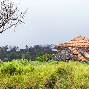 Madeira (54)
