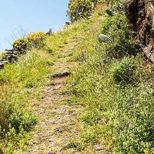 Madeira (61)