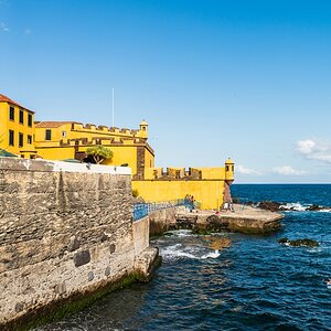 Madeira (73)