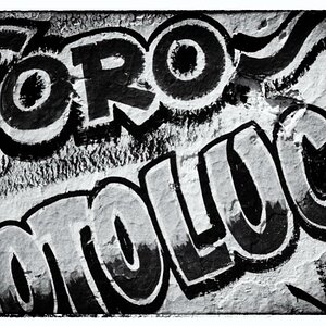 Toro Zotoluco