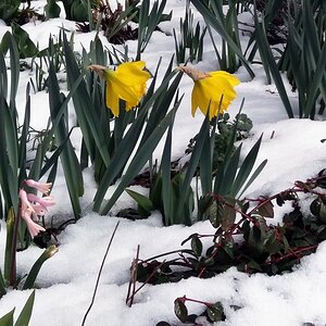 Ostern2015