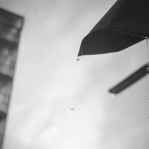 Rain NF