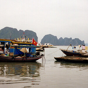 halongff Kopie