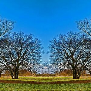 comp Vorfrühling