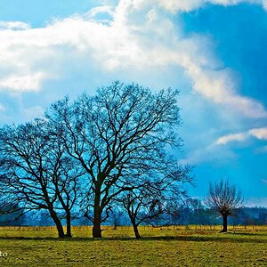 comp Vorfrühling 2
