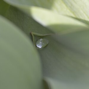 DSC0091 1