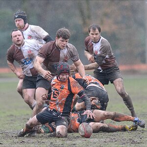 aacomp rugby 20150329 1093 1920