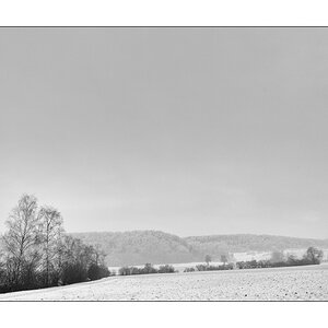 MozartDSC 5686
