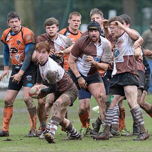 aacomp rugby 20150329 0228 1920