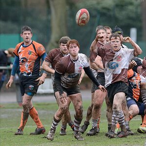 aacomp rugby 20150329 0232 1920