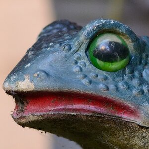 Testfrosch 2,8