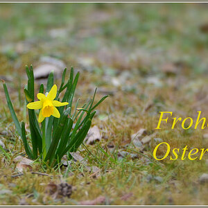DSC 4165 Ostern