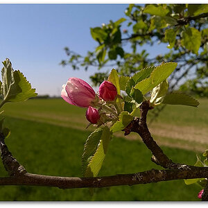 WP 20150424 15 07 21 Pro  highres
Nokia-Lumia-930
überschärft....