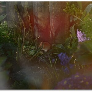 MNE 8041, 20150305-Ostersonntag
D800 70-200/2,8-II
durch Glasfront geknippst