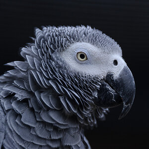 20150404 D3S 4033