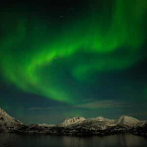 Trollfjord 9274