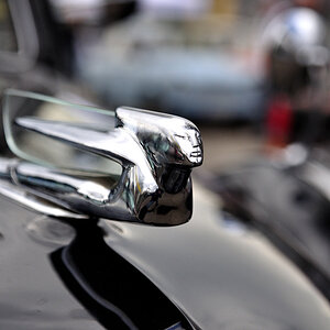 Cadillac-Kühlerfigur [DSC_6678]