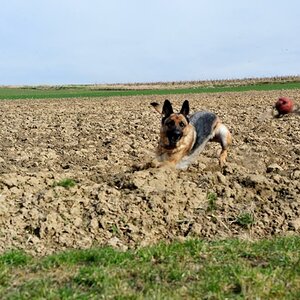 DSC 5499