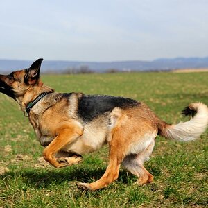 DSC 5510