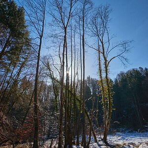 Aachtobel 1